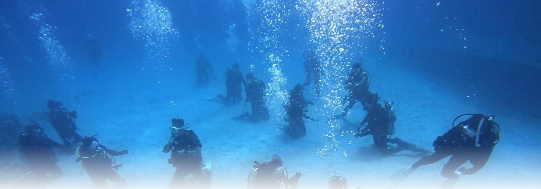 海底で輪になって潜水体験を行うダイバーたち