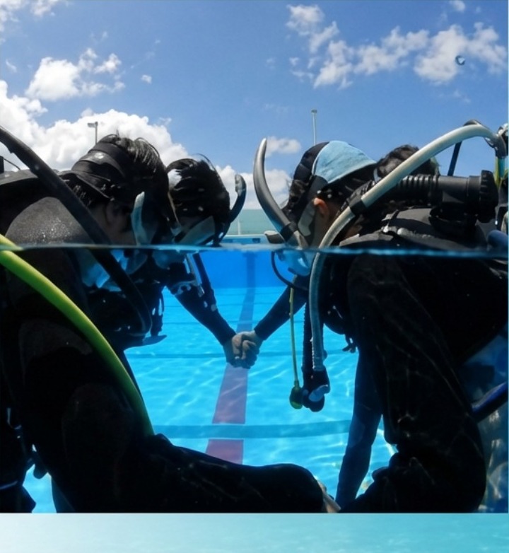 プールの水面付近で潜水器材を着けて練習するダイバー